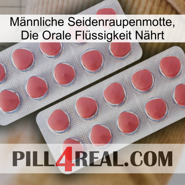 Männliche Seidenraupenmotte, Die Orale Flüssigkeit Nährt 19.jpg